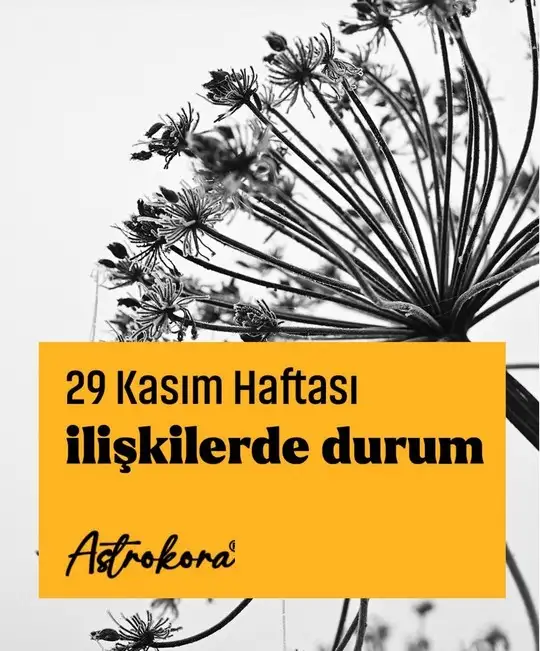 haftalık88 (1).webp