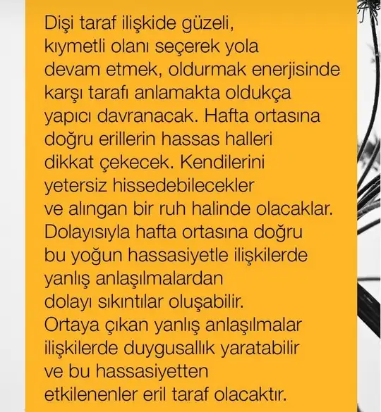 haftalık88 (4).webp