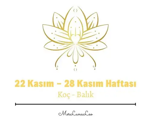 haftalıks 2 (1).webp