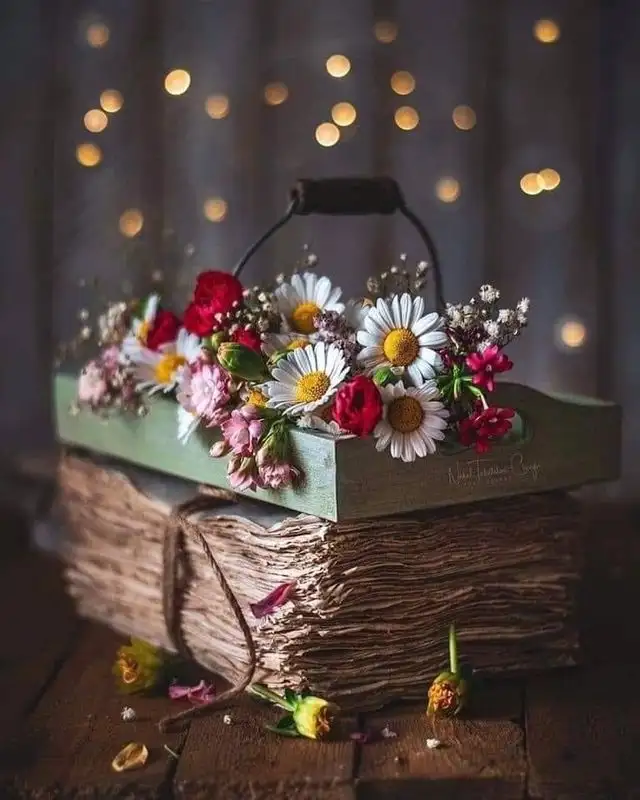 haftallık (4).webp