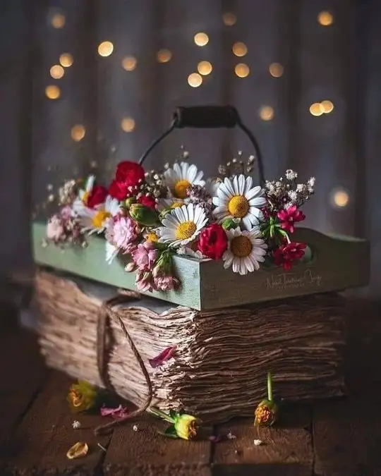 haftallık (4).webp