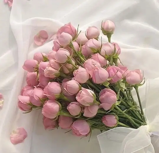 haftallık (8).webp