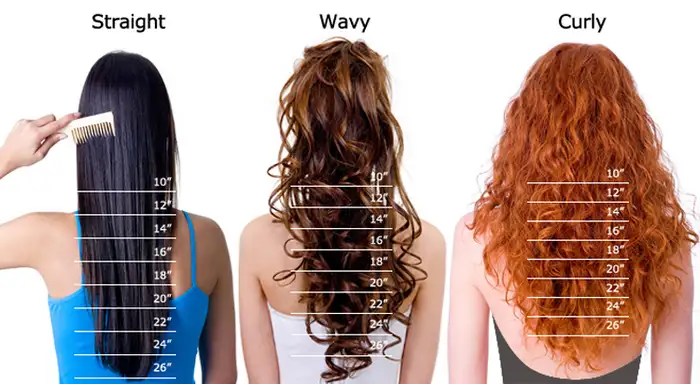 hair-length-guide.webp