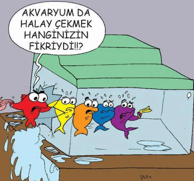 halay-cekmek_399318.webp