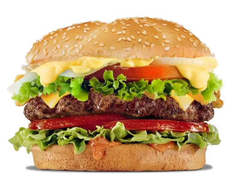 hamburger.webp