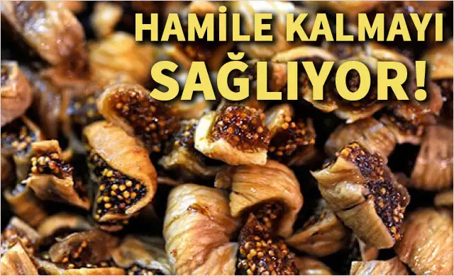 hamile-kalmayi-saglayan-kur-6174293.webp
