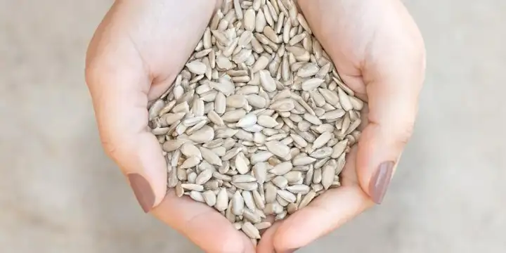 hamilelikte-cekirdek-yemenin-faydalari.jpg