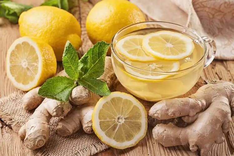 Haslamis_limon_kuru_Tarifi_1_ayda_20_kilo_verme_zayiflama_faydalari.webp