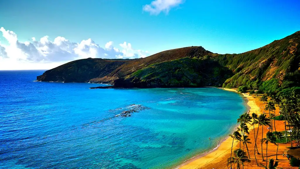 hawaii (9).webp