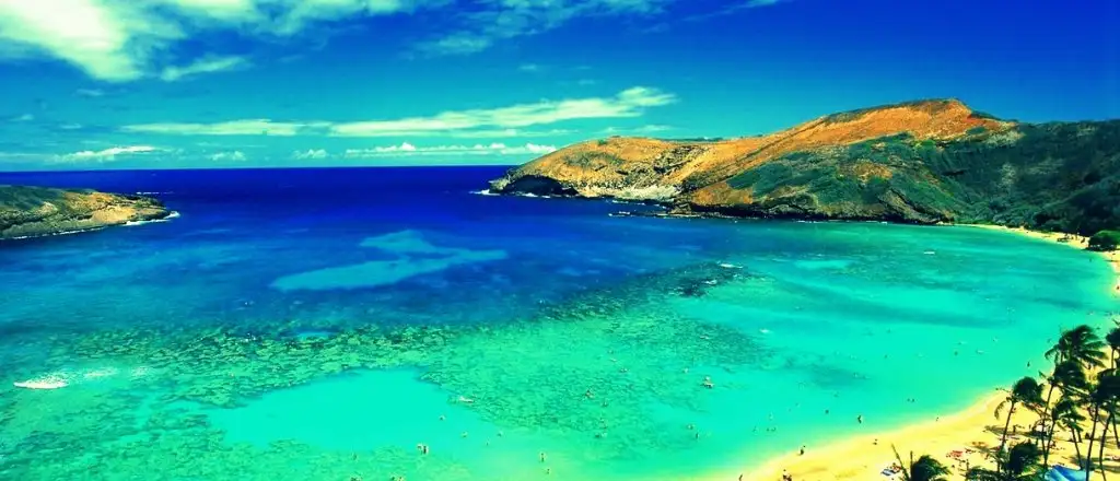 Hawaii-beach.webp