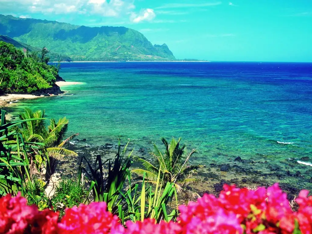 hawaii-usa.webp