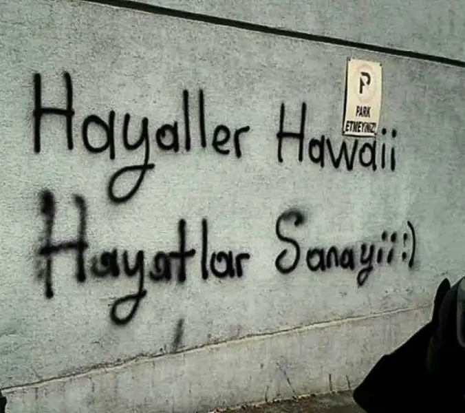 hayaller-hawaii-hayatlar-sanayii.webp