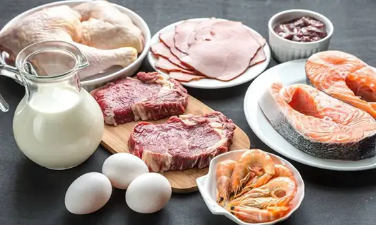 hayvansal-proteinler.webp