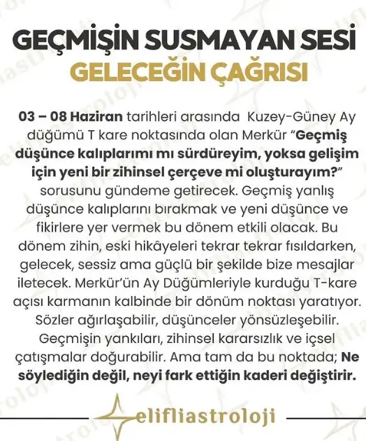 haz1 (9).webp