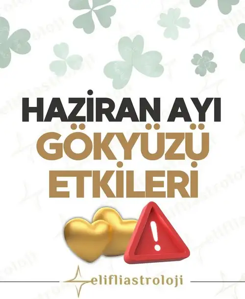 haz10 (1).webp