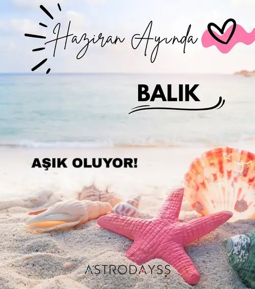 haz12 (12).webp