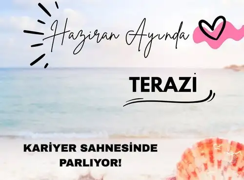 haz12 (7).webp