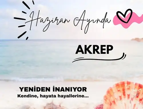 haz12 (8).webp