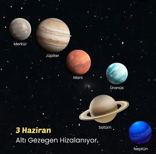 haz13 (2).webp