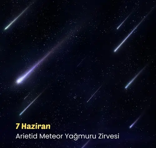 haz13 (3).webp