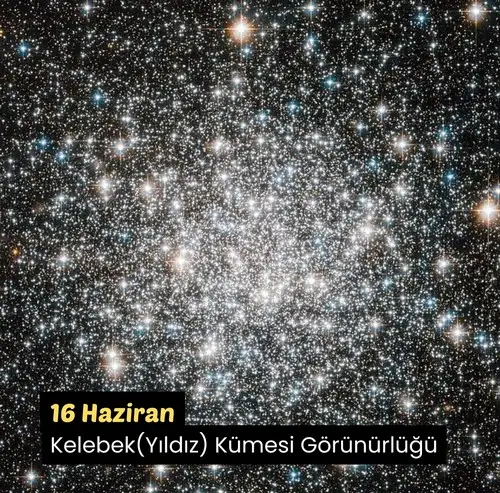 haz13 (5).webp