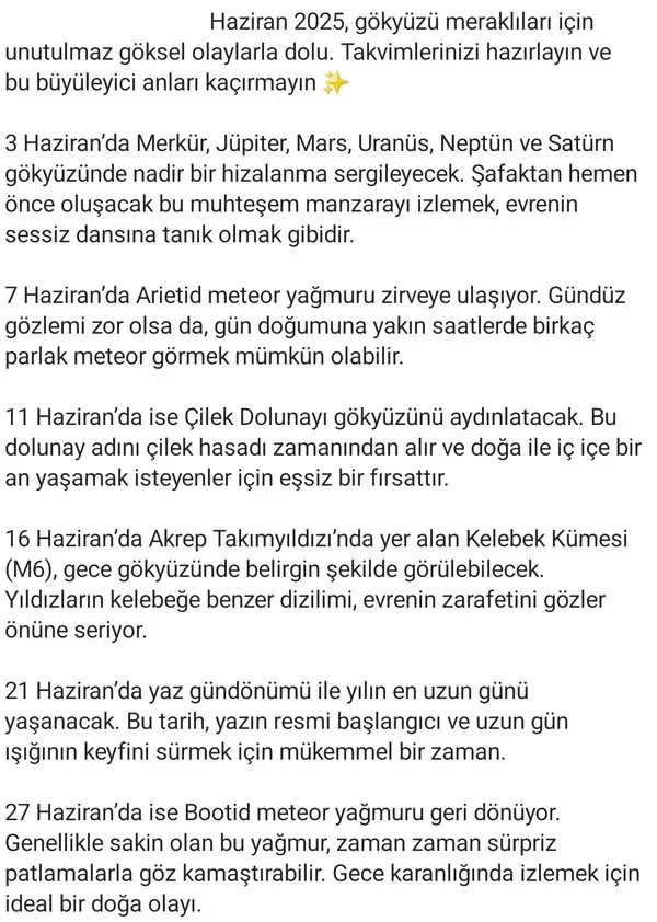 haz13 (8).webp