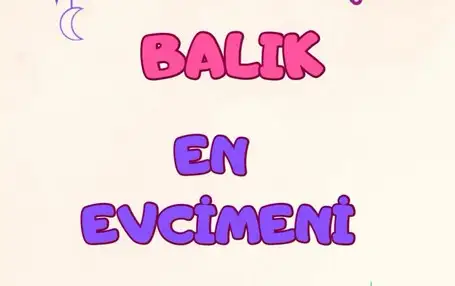 haz15 (13).webp