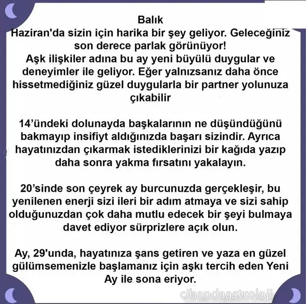 haz2 (13).webp