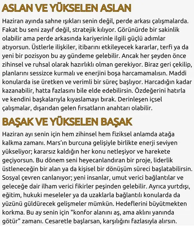 haz2 (4).webp