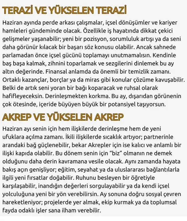 haz2 (5).webp