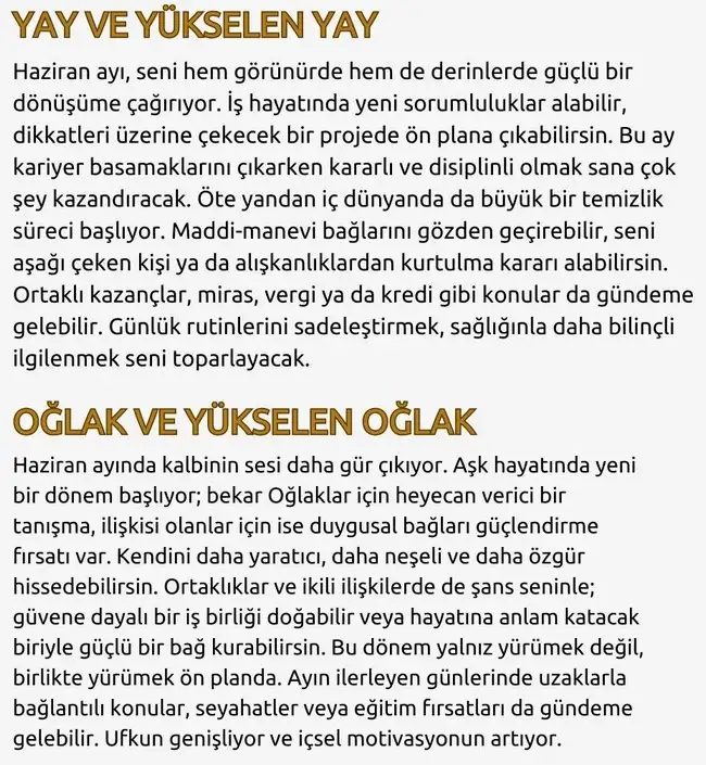 haz2 (6).webp
