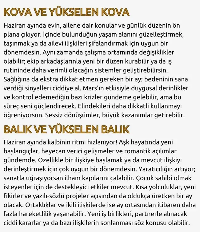 haz2 (7).webp