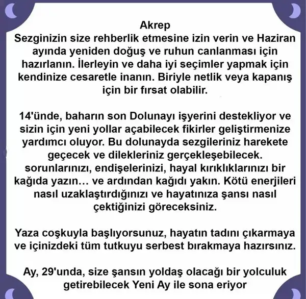 haz2 (8).webp