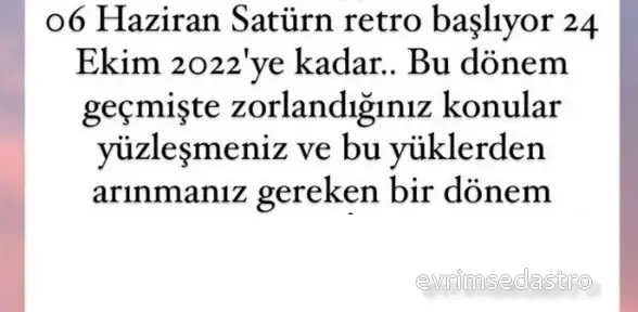 haz22 (1).webp