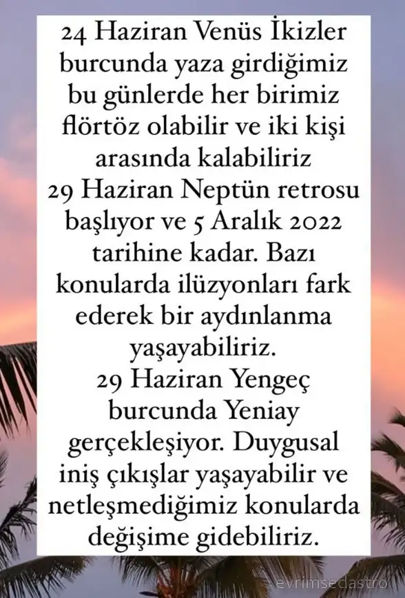 haz22 (2).webp