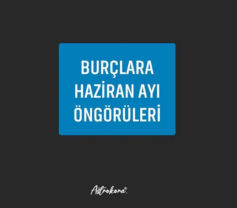 haz23 (1).webp