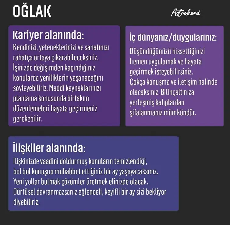 haz23 (11).webp