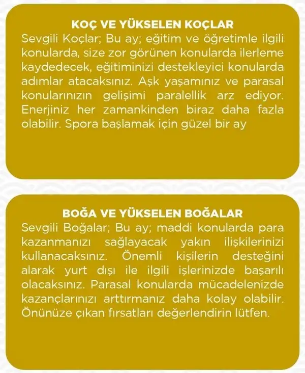 haz26 (2).webp