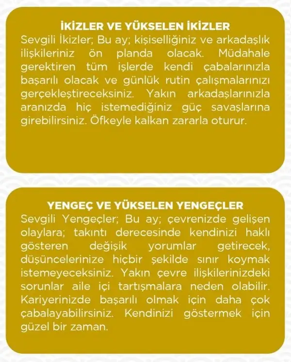 haz26 (3).webp