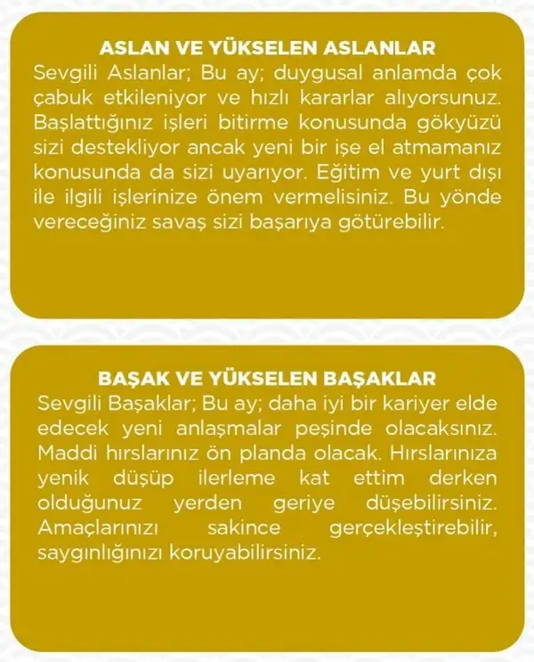 haz26 (4).webp