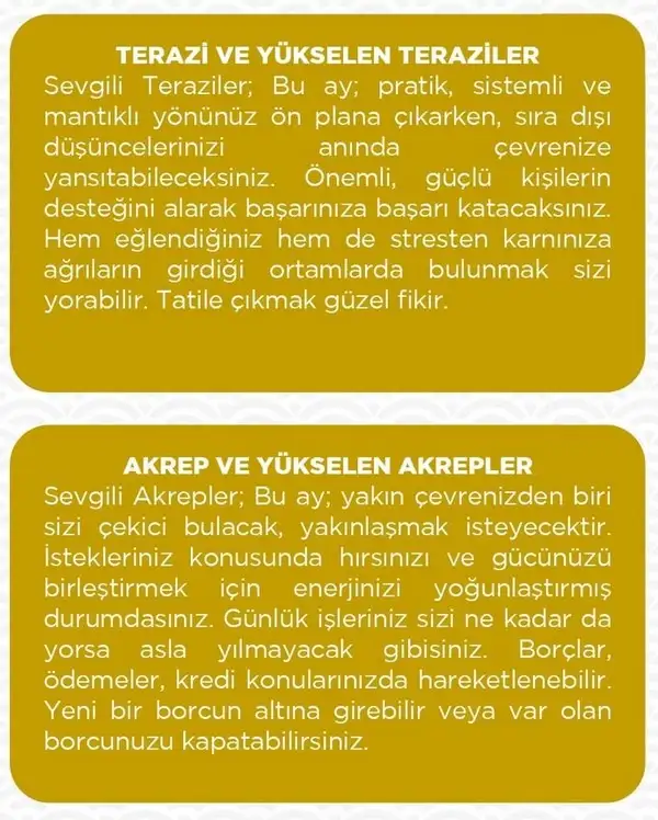 haz26 (5).webp
