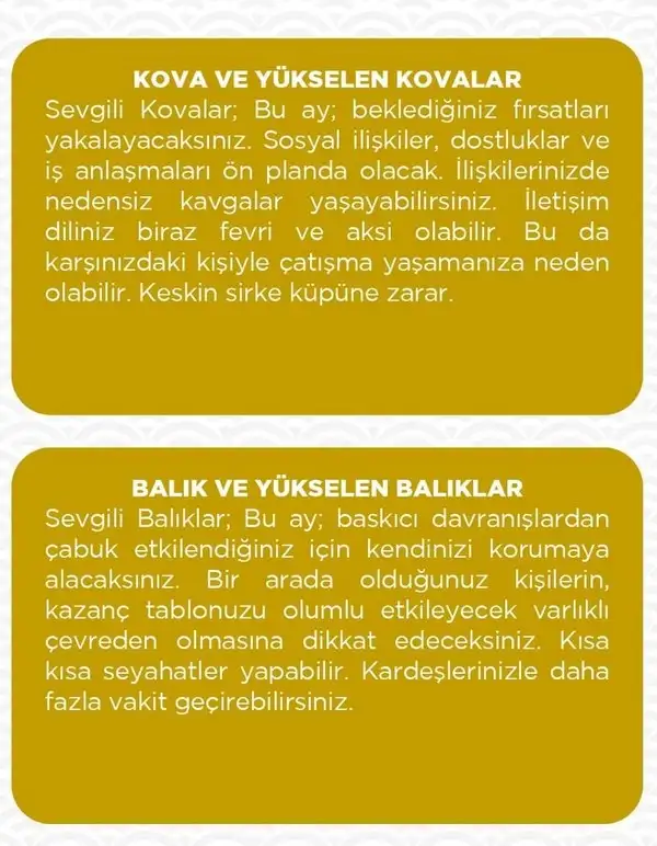 haz26 (7).webp
