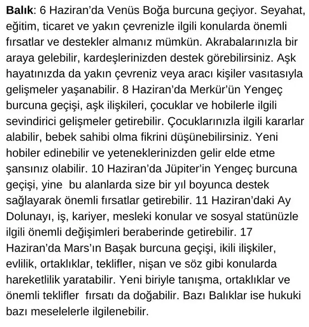 haz3 (12).webp