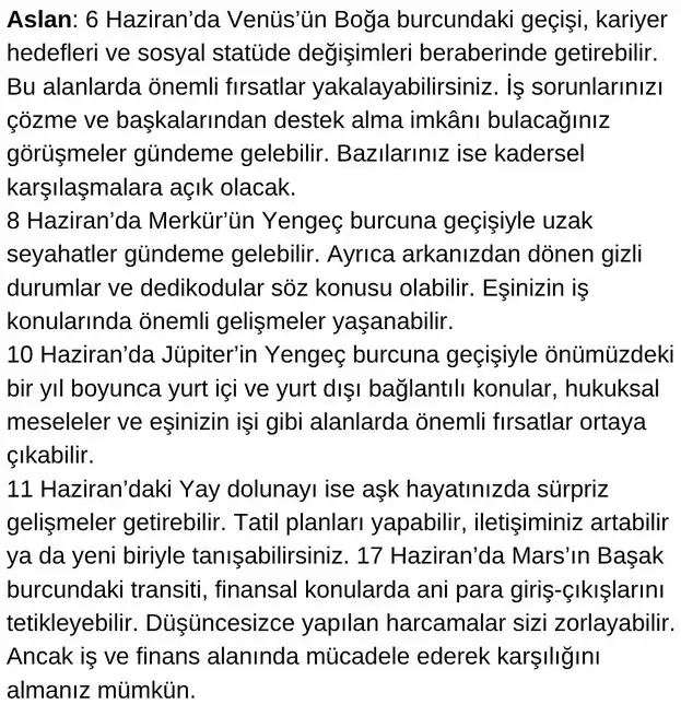 haz3 (5).webp