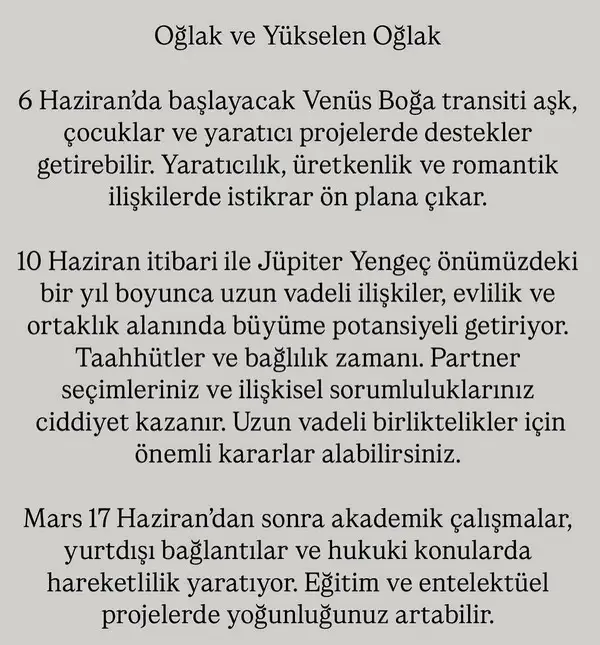 haz4 (11).webp