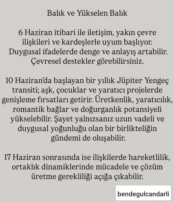 haz4 (13).webp