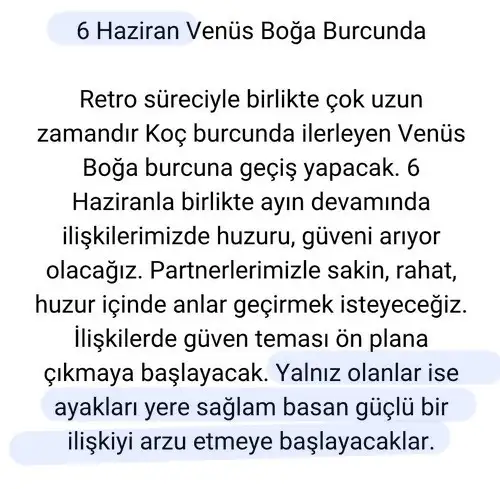 haz4 (3).webp