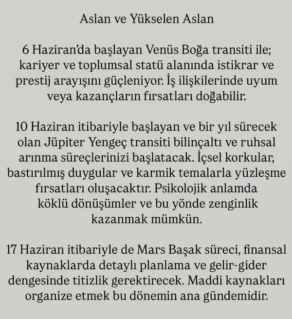 haz4 (6).webp