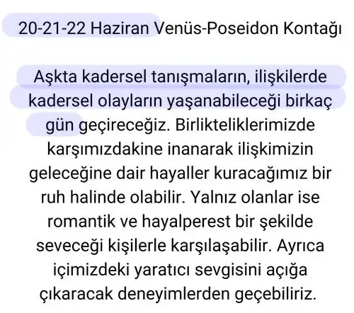 haz4 (7).webp