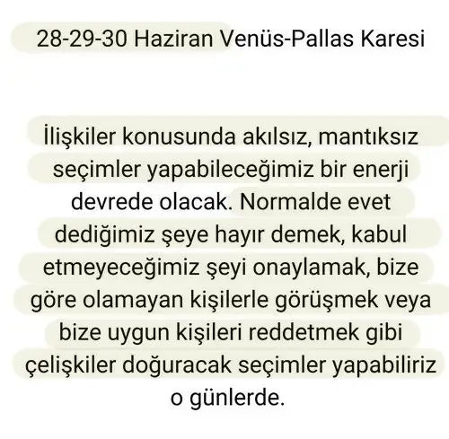 haz4 (8).webp